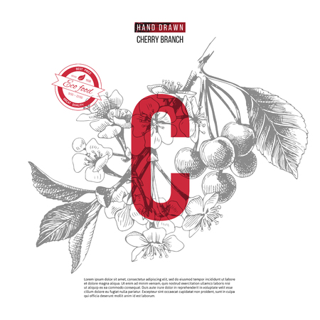 Abstract background with hand drawn cherries and type design. Vector illustrationのイラスト素材