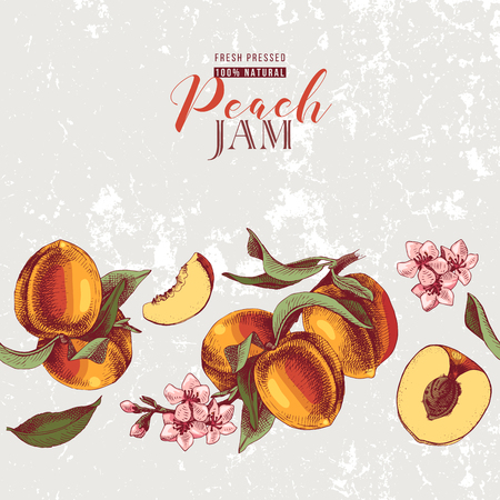 Background with hand drawn peach seamless border in vintage style. Vector illustrationのイラスト素材