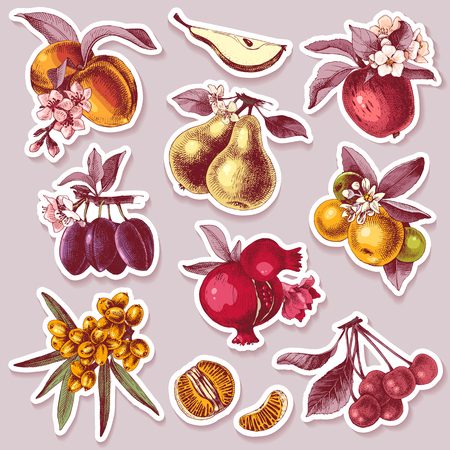 Vector set of adhesive stickers with hand drawn fruits and transparent shadows on colorful background. Vector illustrationのイラスト素材