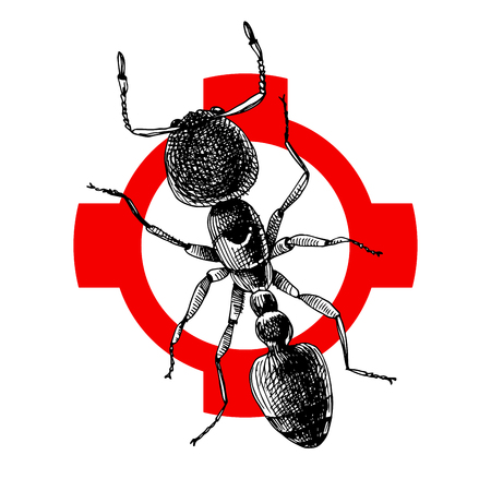 Hand drawn ant illustration on crosshatchのイラスト素材