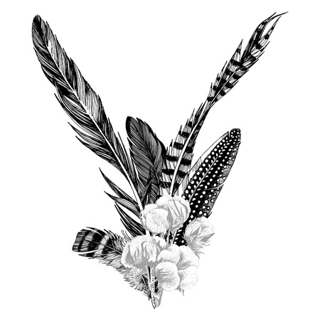 Hand drawn bouquet with feathers and cotton branchのイラスト素材