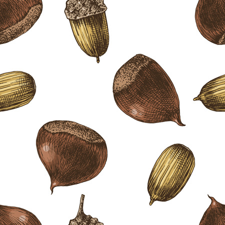Seamless pattern with hand drawn chestnuts and acornsのイラスト素材