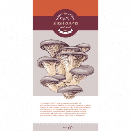 Package design for dried sliced oyster mushrooms. Vector illustration.のイラスト素材