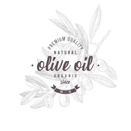 Olive oil label design over hand drawn olive branchのイラスト素材