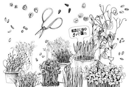 Hand drawn micro green elements setのイラスト素材