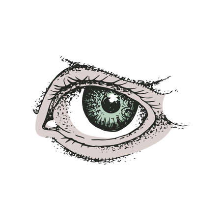 Eye symbol drawing on white background.のイラスト素材