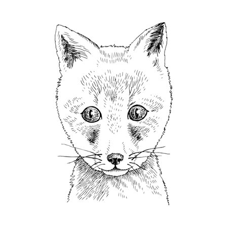Hand drawn portrait of funny Fox babyのイラスト素材