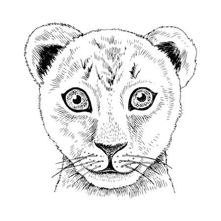 Hand drawn portrait of funny Lion babyのイラスト素材