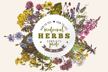 Hand drawn label of medicinal herbsの写真素材