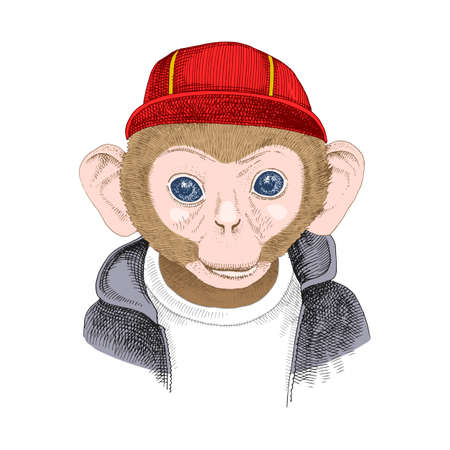 Hand drawn portrait of monkey with accessoriesのイラスト素材