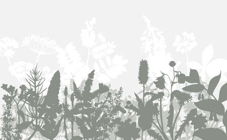 Abstract border with wild herbs and flowers.のイラスト素材