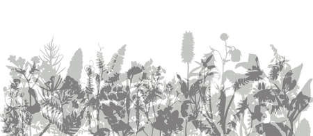 Abstract border with wild herbs and flowers.のイラスト素材