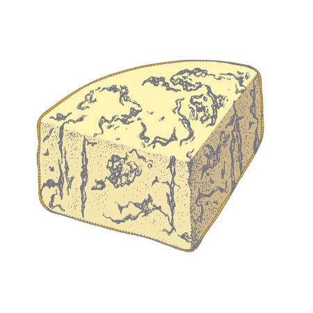 A slice of blue cheese.のイラスト素材