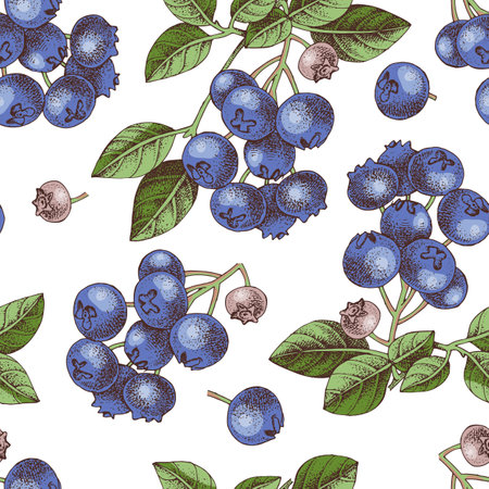 Seamless pattern with blueberries branchesのイラスト素材