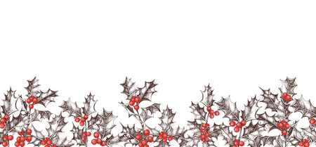 Holly berry vector seamless borderのイラスト素材