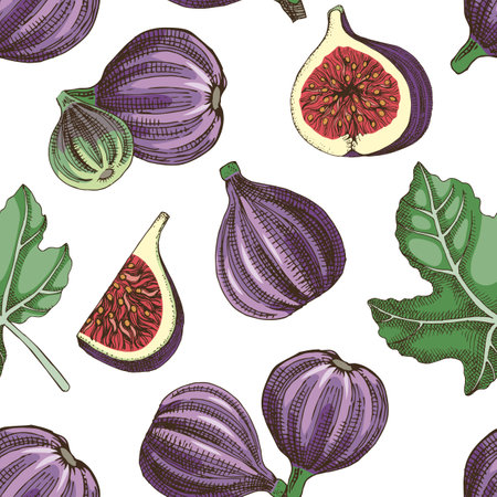 Figs seamless pattern vector illustrationのイラスト素材
