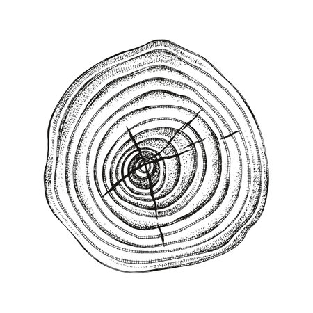 Tree rings wooden cross sectionのイラスト素材