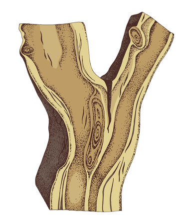 Hand drawn vector wood pieceのイラスト素材