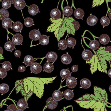 Black currant vector seamless patternのイラスト素材