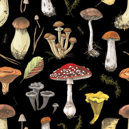 Mushrooms hand drawn seamless patternのイラスト素材