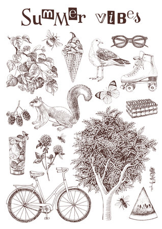 Summer vibes hand drawn posterのイラスト素材