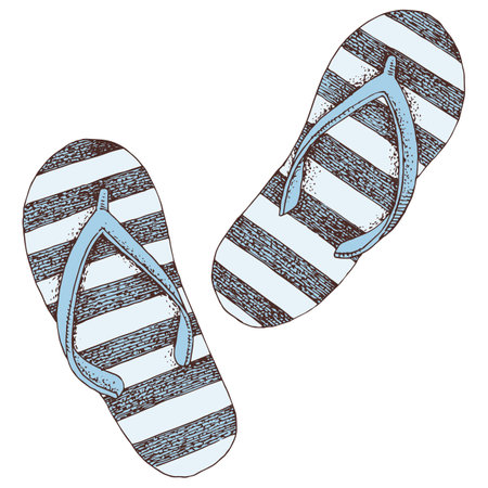 Flip flop shoes hand drawn vector illustrationのイラスト素材