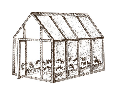 Greenhouse hand drawn vector illustrationのイラスト素材