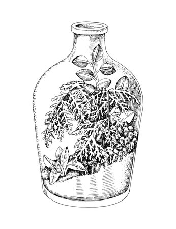 Hand drawn florarium vector illustrationのイラスト素材