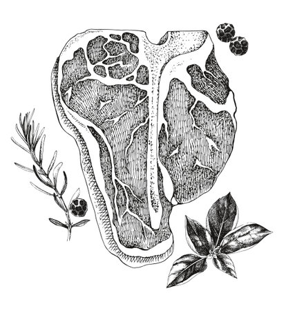 Raw beef porterhouse steak vectorのイラスト素材