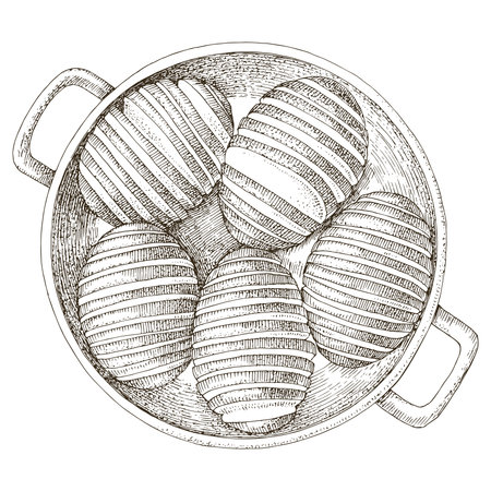Hasselback potato traditional food vectorのイラスト素材