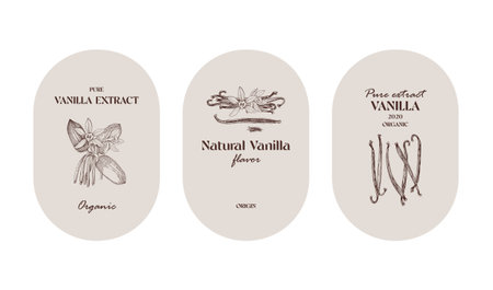 Vanilla labels collection in vintage styleのイラスト素材