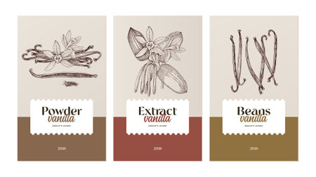 Set of vanilla vector labelsのイラスト素材