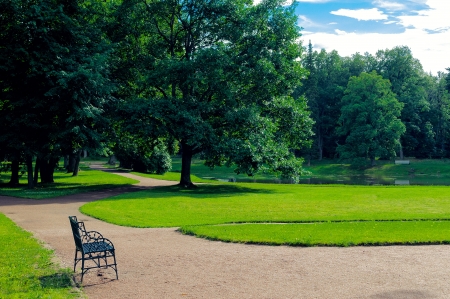 Summer parkの写真素材