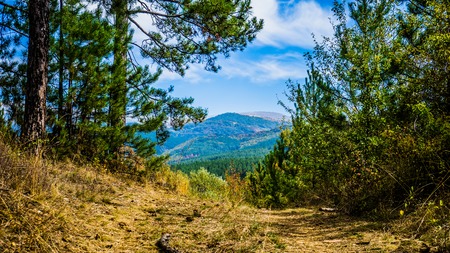 Beautiful View Of Vitosha Mountain in Bulgariaの写真素材
