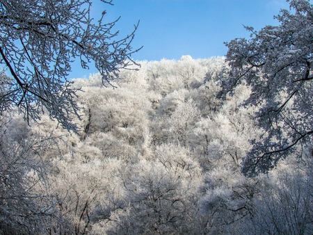 Winter in the Golo Burdo mountainの写真素材