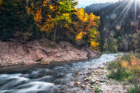 Mountain river in the autumn forest. The concept of active and ecological tourismの写真素材
