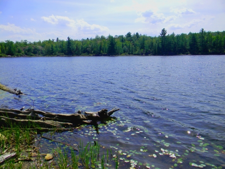                               Upper Penninsula inland lake landscapeの写真素材