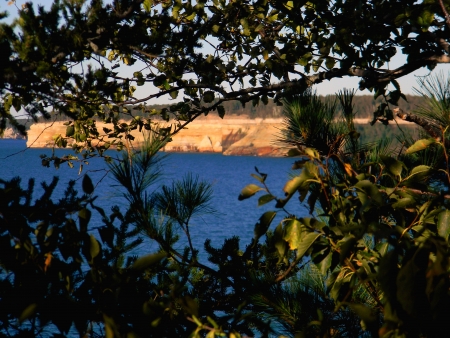       tree branches with beautiful Pictured Rocks in the background                         の写真素材