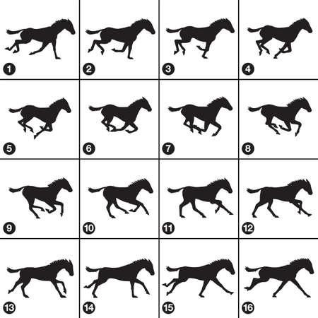 horse gallop silhouette sequence 16 frames vectorのイラスト素材