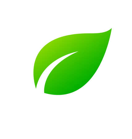 single stylized lush green leaf icon vectorのイラスト素材