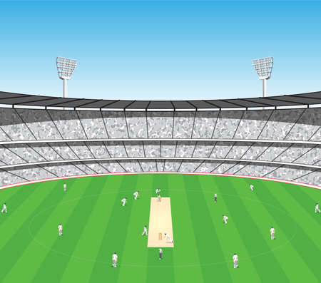 cricket game oval sports stadium arena vectorのイラスト素材