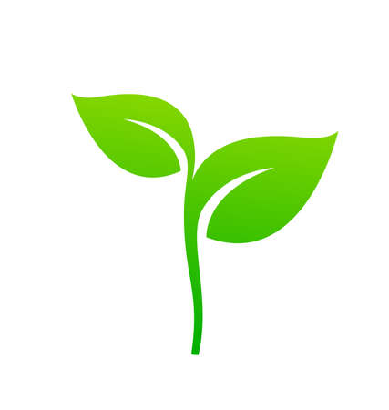 stylized lush green seedling leaf with stem isolated on white backgroundのイラスト素材