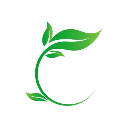fresh lush green leaf in circle motif for organic food label vector isolated on white backgroundのイラスト素材