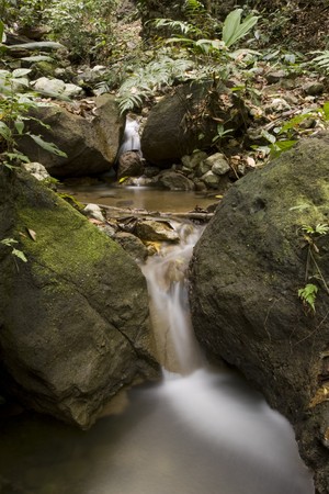A small waterfall softly flows through a rain-forest sourounding