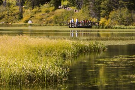 Kids and teachers stand on wooden dock looking into a lake surrounded by autumn colors.の写真素材