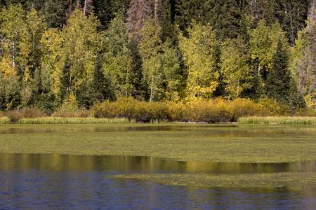 Fall forest colors line the banks of Silver Lakeの写真素材