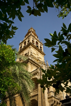 Tower of Sevilla Cathedralの写真素材