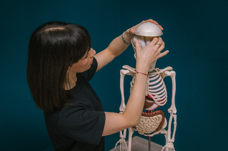 A dark-haired girl studies anatomy on a model of a child's skeleton. Yoga therapy. Head, headache, headache treatment, getting rid of bad thoughts.の写真素材