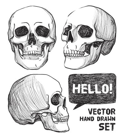 Skull and Flowers. Vintage Tattoo art, coloring books. vintage illustration Isolated on white background.のイラスト素材