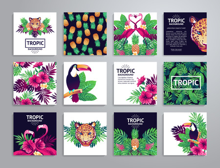 Tropical printable set. cards, notes and with toucan, leopard, exotic flowers and fruits.のイラスト素材